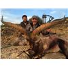 Image 1 : 5 Day in Spain for One Hunter & One Non-Hunter