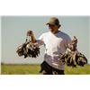 Image 1 : 5-Star, 4-day Dove Hunt for 2 Hunters in Cordoba, Argentina