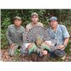 Image 1 : 7 Days Mexican Campeche Jungle Hunt for Three Species for 2 Hunters