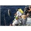 Image 17 : 6 Nights / 5 Days Belize Fishing and Diving Adventure for 2 People