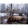 Image 5 : 3 Days / 4 Nights Trophy Elk Hunt for 2 Hunters in Saskatchewan, Canada