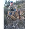 Image 1 : 3 Day Trophy Aoudad Hunt for 1 Hunter