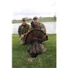 Image 1 : Combo Missouri Turkey Hunt / African Hunting Safari