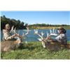 Image 2 : 3 Days / 4 Nights Trophy Whitetail Deer Hunt at Ohio for 2 Hunters