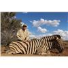 Image 6 : 8 Day Big Game Hunt for 1 Hunter and 1 Non-Hunter in Namibia