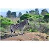 Image 5 : 6 Days / 6 Nights Photo Safari with Zulu Nyala for 2 People in Zululand, South Africa
