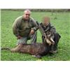 Image 1 : 7 Day Chamois Hunt for 2 Hunters or 1 Hunter and 1 Observer in Serbia