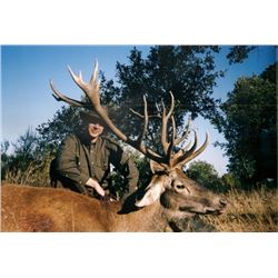 4 Day Hunt in Spain for 1 Hunter and 1 Non-hunter with a Trophy Fee Credit