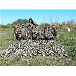 Argentina Dove Hunt for 6 Hunters