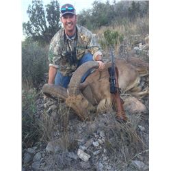 3 Day Trophy Aoudad Hunt for 1 Hunter
