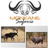 Image 1 : MONKANE SAFARIS