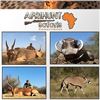 Image 1 : AFRIHUNT SAFARIS NAMIBIA