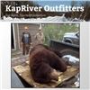 Image 1 : KAPRIVER OUTFITTERS (BEAR)