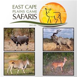 EAST CAPE PLAINS GAME SAFARIS