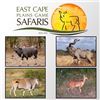 Image 1 : EAST CAPE PLAINS GAME SAFARIS
