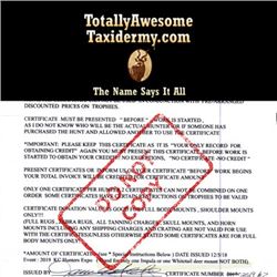 TOTALLY AWESOME TAXIDERMY