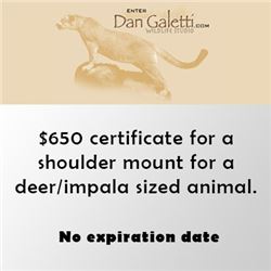 DAN GALETTI WILDLIFE STUDIO