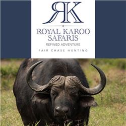 ROYAL KAROO HUNTING SAFARIS