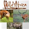 Image 1 : WILD AFRICA HUNTING SAFARIS