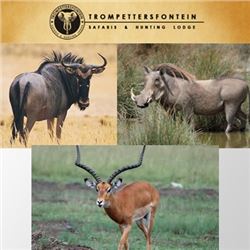 TROMPETTERSFONTEIN SAFARIS