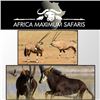 Image 1 : AFRICA MAXIMUM SAFARIS