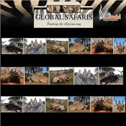 GLOBAL SAFARIS