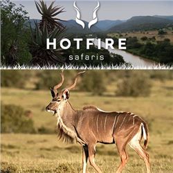HOTFIRE SAFARIS