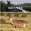 Image 1 : HOTFIRE SAFARIS