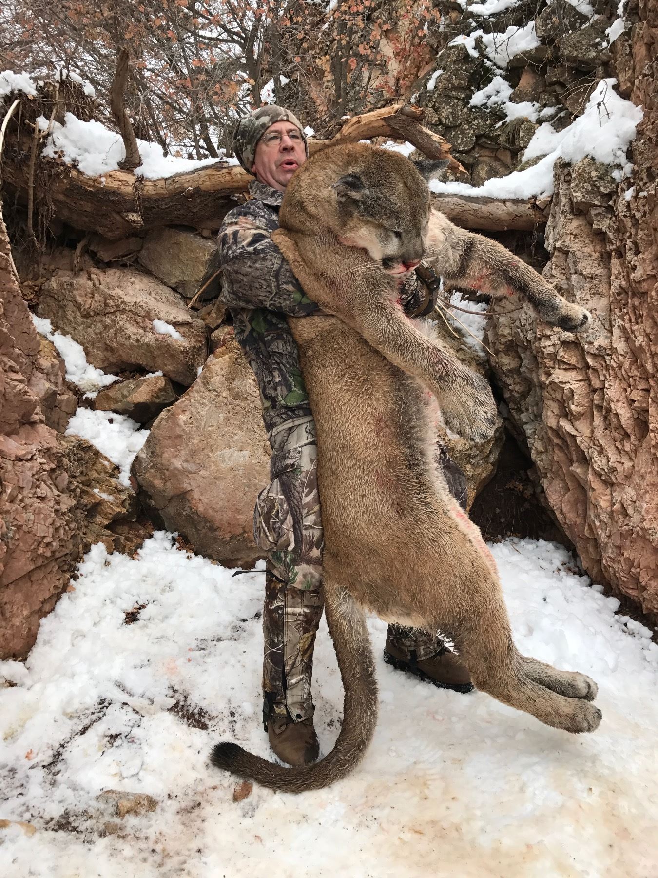 5 Day Hunt for a 1x1 Guided Trophy Mountain Lion Hunt in Utah