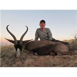 Six Day South African Springbok Slam Plains Game Hunt  for Two  Hunters
