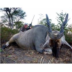 Seven Day Namibia Eland and Giraffe Hunt for One Hunter