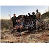 Image 2 : Seven Day Namibia Eland and Giraffe Hunt for One Hunter
