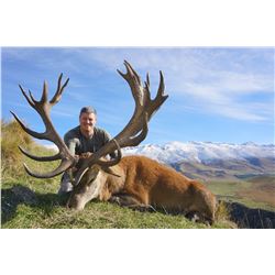 5 Day New Zealand Red Stag Hunt for One Hunter and One Observer