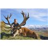Image 1 : 5 Day New Zealand Red Stag Hunt for One Hunter and One Observer