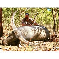 Four Day Australian Buffalo Hunt for One Hunter