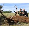 Image 2 : Four Day Agentina Red Stag Hunt for One Hunter