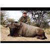 Image 1 : Seven Day South Africa (Limpopo) Impala and Wildebeest Hunt for Two Hunters