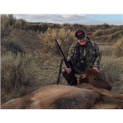 Three Day New Mexico Cow Elk Hunt for One Hunter