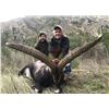 Image 1 : Five Day Spanish Big Game Hunt for One Hunter