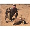 Image 5 : Six Day South Africa (Limpopo) Zebra and Impala Hunt for One Hunter