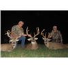 Image 2 : Three Day Ohio Whitetail Hunt for Two Hunters