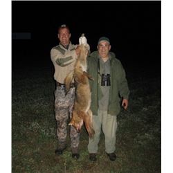 Three Day Serbia Golden Jackal Hunt for Two Hunters and One Observer