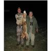 Image 1 : Three Day Serbia Golden Jackal Hunt for Two Hunters and One Observer