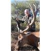 Image 5 : Five-day Free-range Red Stag Hunt for One Hunter in Argentina