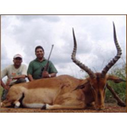 Six-day Hunt for 2 Hunters in South Africa taking 2 Impala, 2 Warthog and 1 Kudu or 1 Zebra