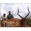 Image 1 : Six-day Hunt for 2 Hunters in South Africa taking 2 Impala, 2 Warthog and 1 Kudu or 1 Zebra