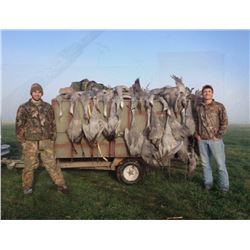 Three Day West Texas Sandhill Crane Hunt for Two Hunters