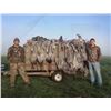 Image 1 : Three Day West Texas Sandhill Crane Hunt for Two Hunters