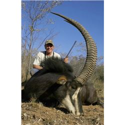 Seven Day South African Sable or Golden Wildebeest Hunt for One Hunter and One Observer