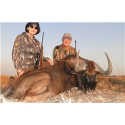 Twelve Day  South Africa Plains Game Hunt for Two Hunters